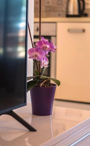 Apartman Boni Daire Orebić Dış mekan fotoğraf